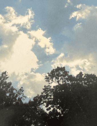 Howard Stevenson Rogers Obituary